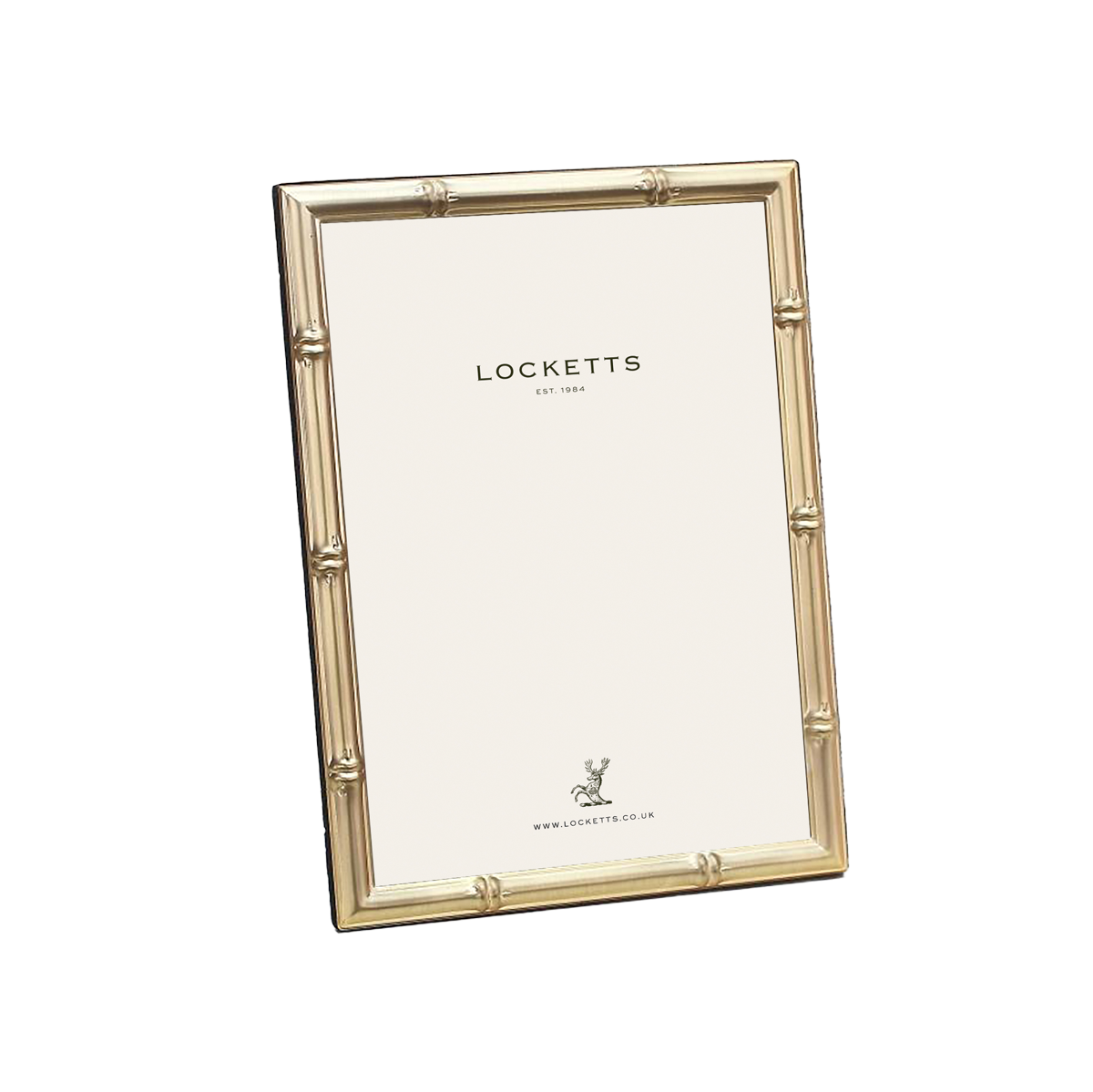 Bamboo Matte Gold Photo Frame