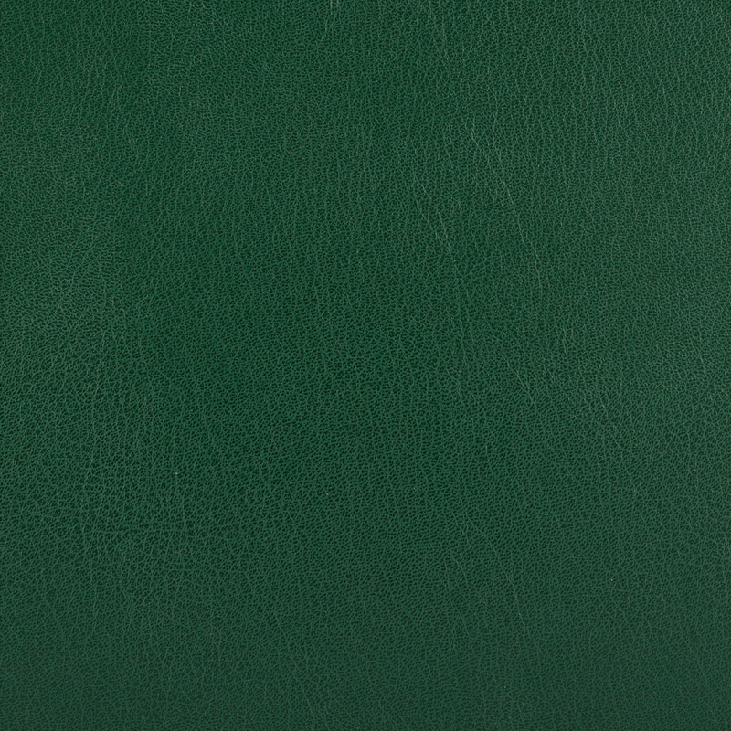 Traditional Presentation Album Green