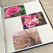 Self-adhesive Photo Album Pellaq Green