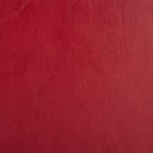 Luxury Leather Presentation Photo Album Flame Red