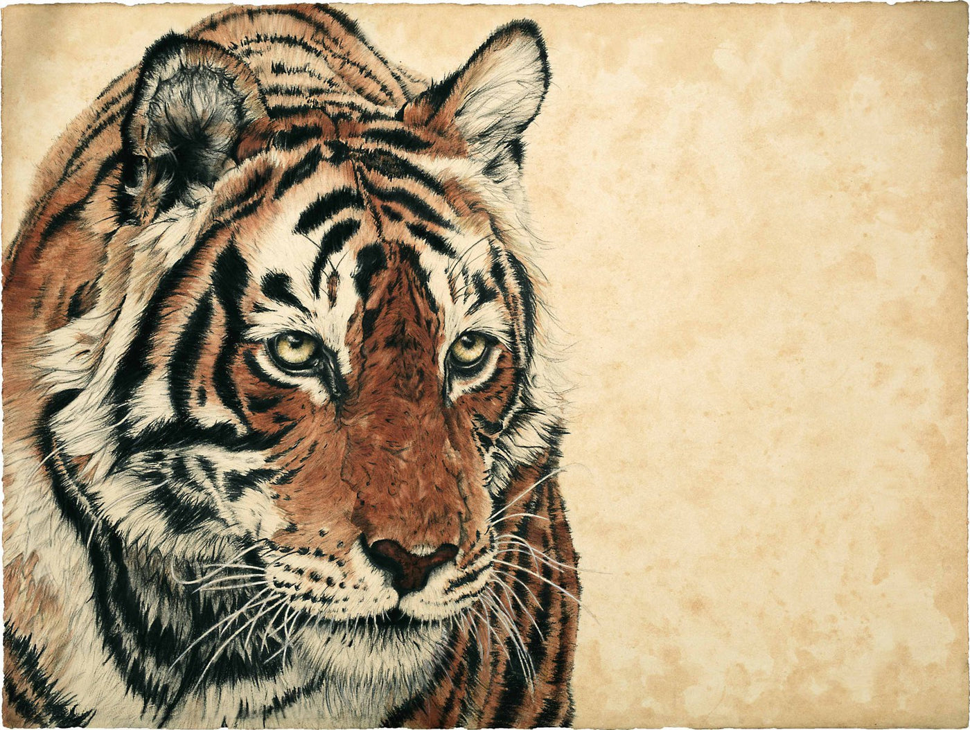 Violet Astor - Chai and Paan Tiger: Air Print