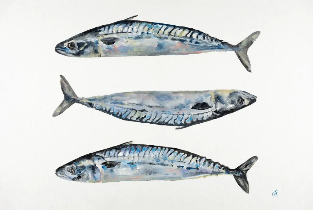 Hannah Treliving - Mighty Mackerel